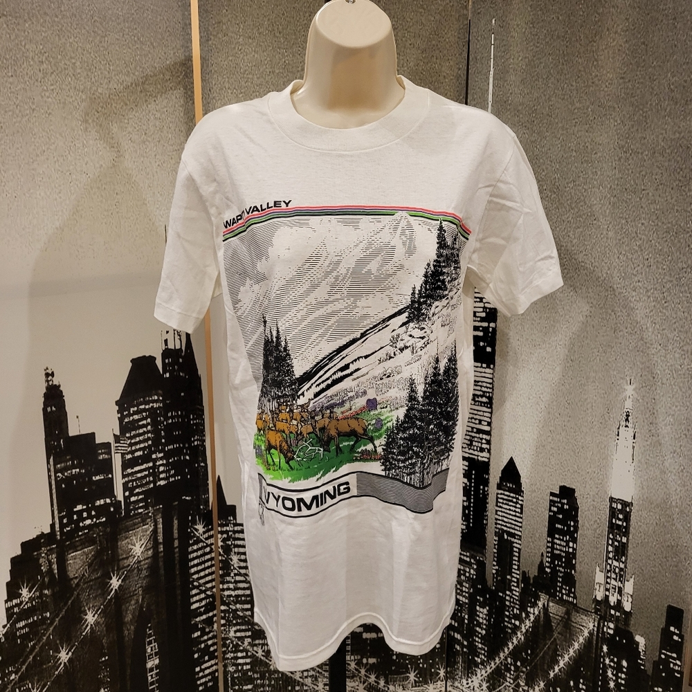 Stedman new vintage size small white tee shirt from Wyoming